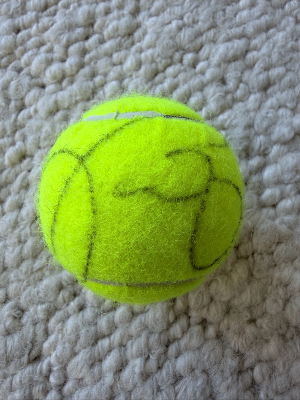 100% Authentic Venus Williams Signed Tennis Ball
